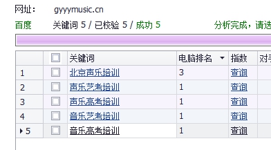 网站优化成功